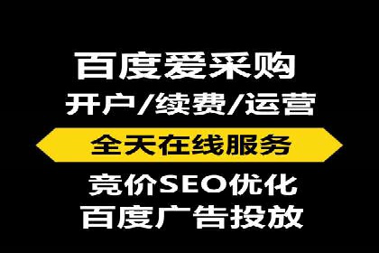 百度竞价包年推广的典型案例与效果展示